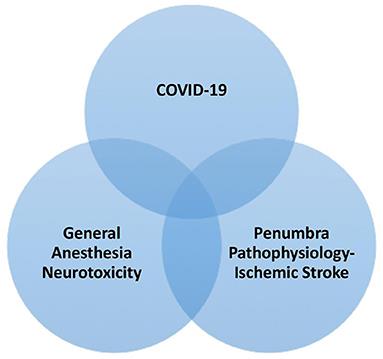 Mechanical Thrombectomy for Stroke and COVID-19 Pandemic: A Critical Insight for Anesthesiologists